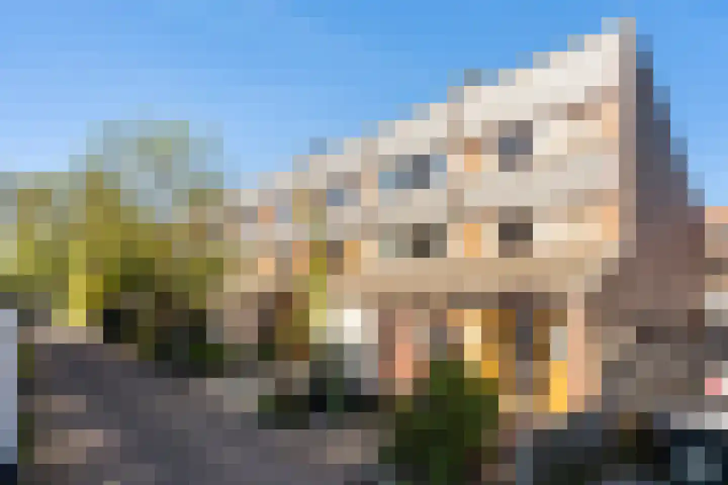 Veenzoom 221 Gouda thumbnail 6