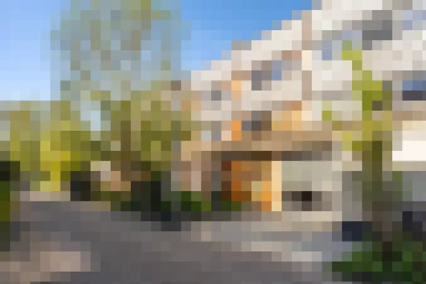 Veenzoom 221 Gouda thumbnail 7