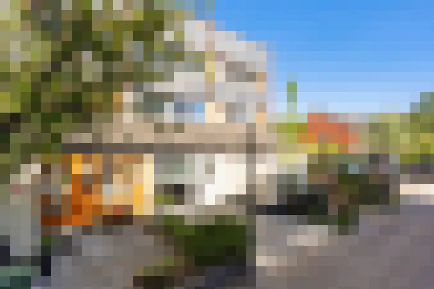 Veenzoom 221 Gouda thumbnail 8