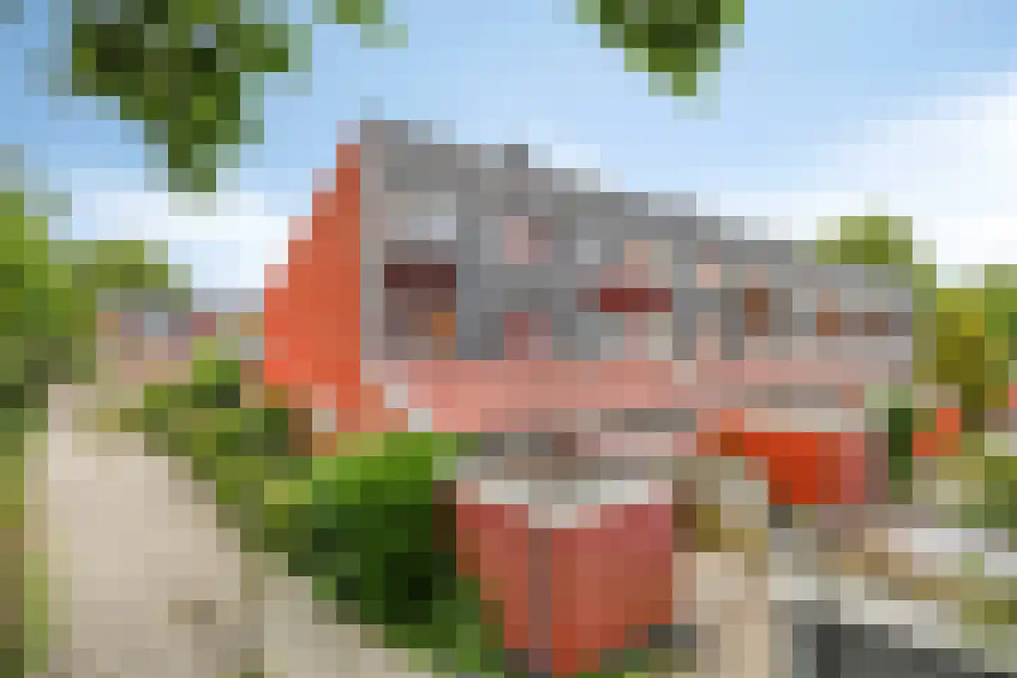 Veenzoom 39 Gouda