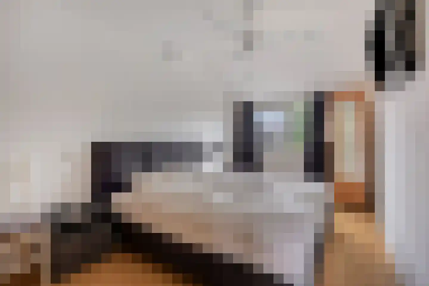 Veenzoom 39 Gouda thumbnail 12