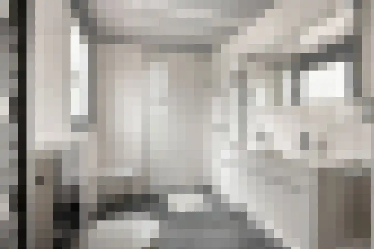 Veenzoom 39 Gouda thumbnail 13