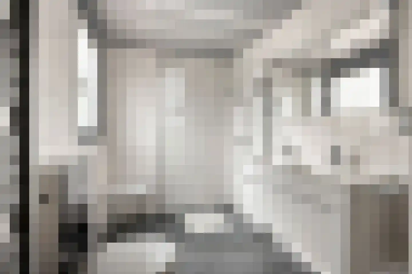 Veenzoom 39 Gouda thumbnail 14