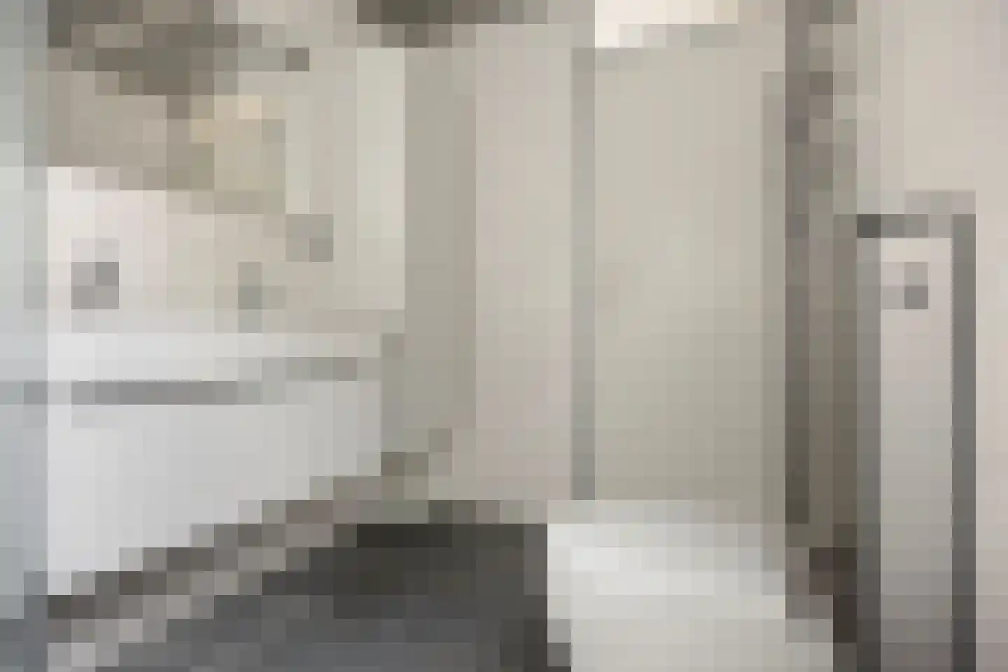 Veenzoom 39 Gouda thumbnail 15