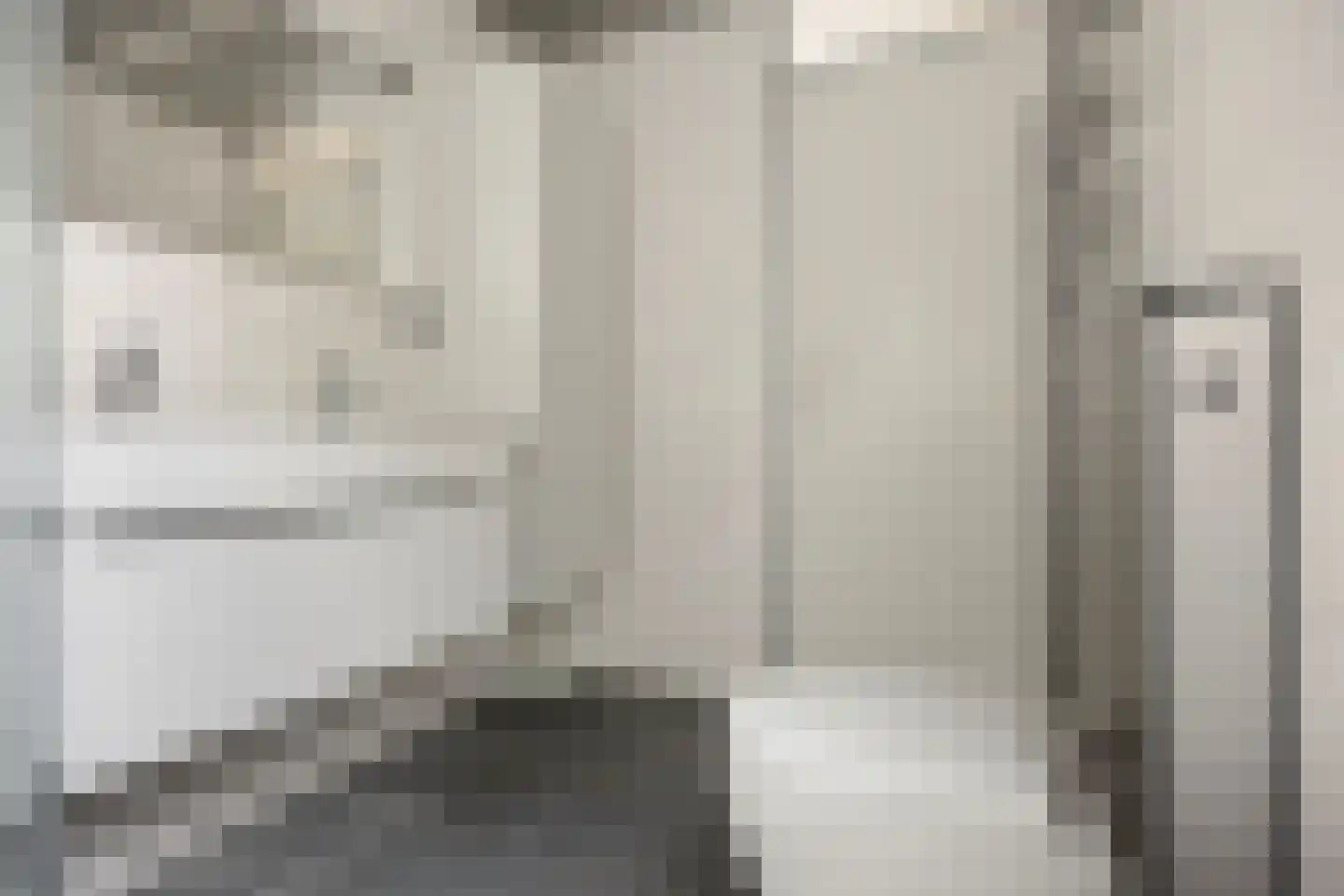 Veenzoom 39 Gouda thumbnail 16