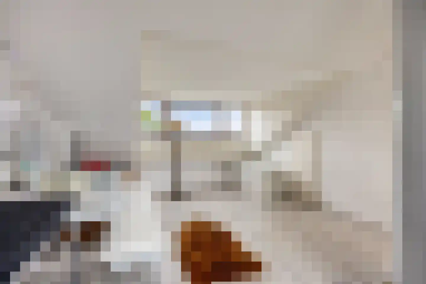 Veenzoom 39 Gouda thumbnail 20