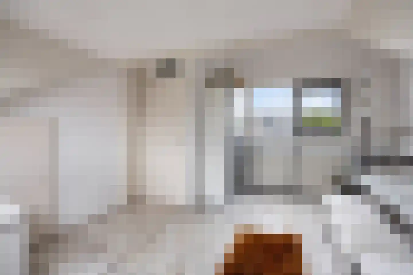 Veenzoom 39 Gouda thumbnail 21