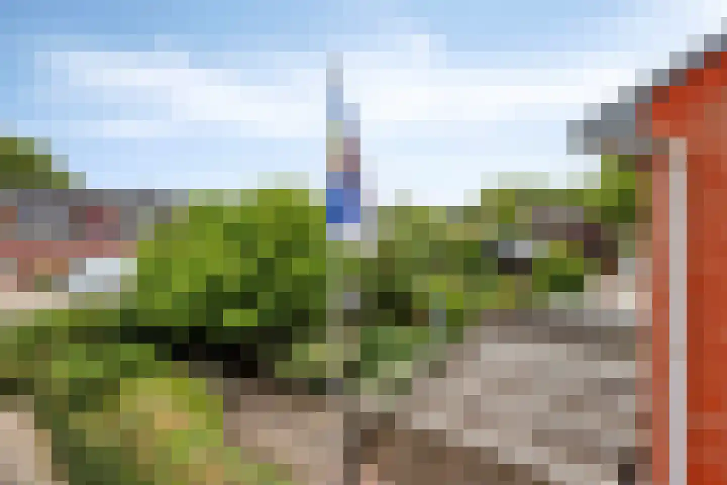 Veenzoom 39 Gouda thumbnail 22