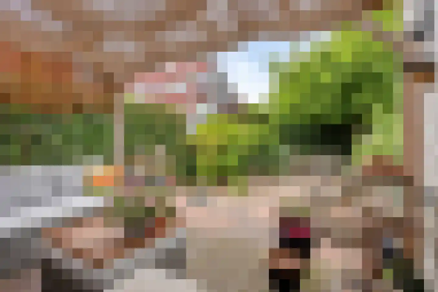 Veenzoom 39 Gouda thumbnail 23