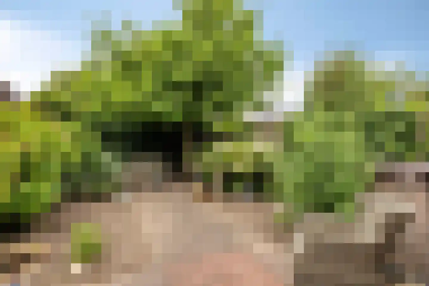 Veenzoom 39 Gouda thumbnail 24