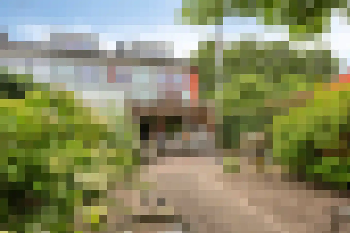 Veenzoom 39 Gouda thumbnail 25