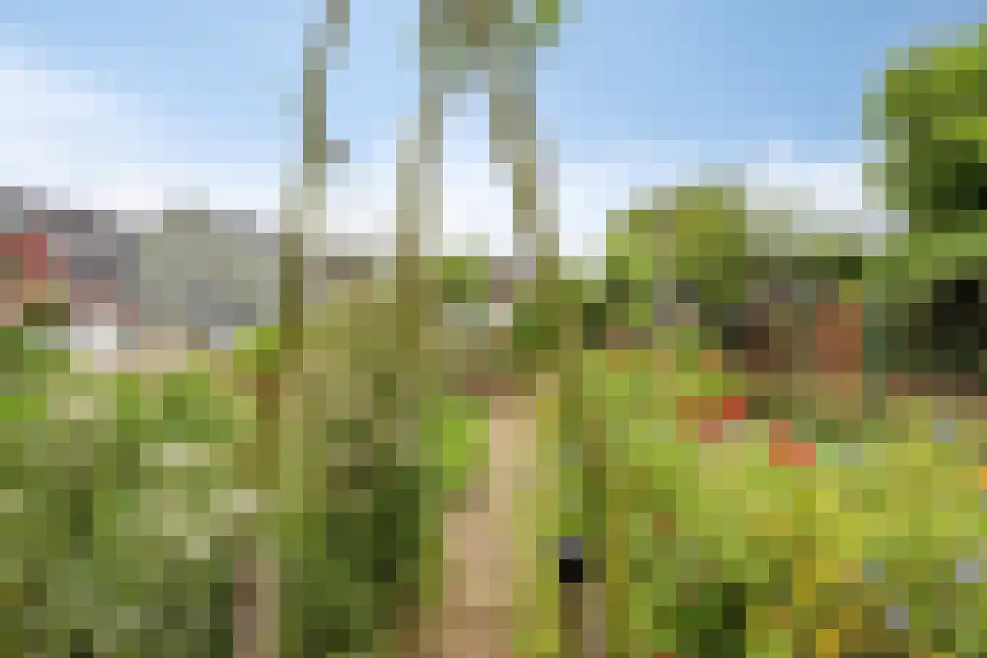 Veenzoom 39 Gouda thumbnail 27