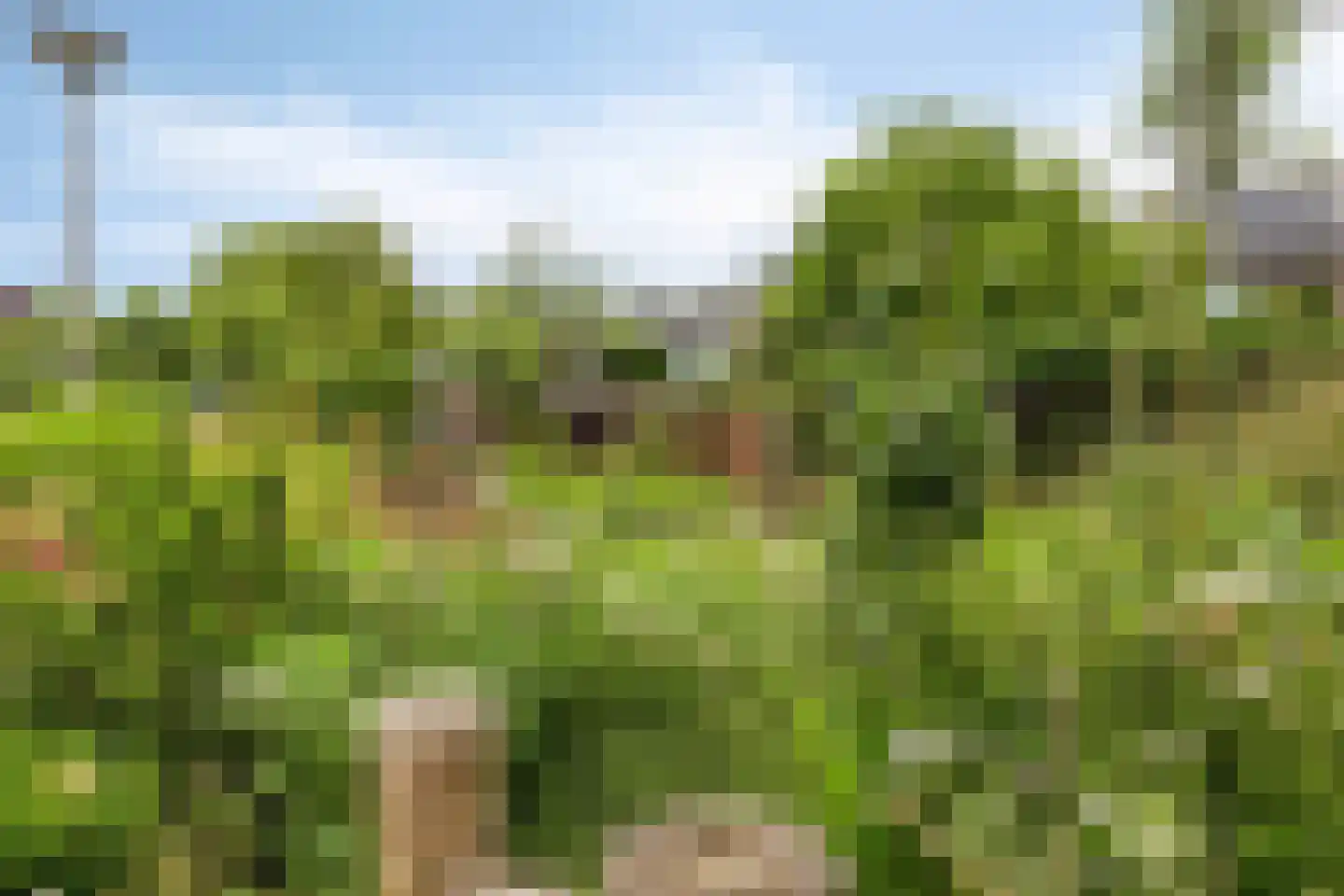 Veenzoom 39 Gouda thumbnail 27