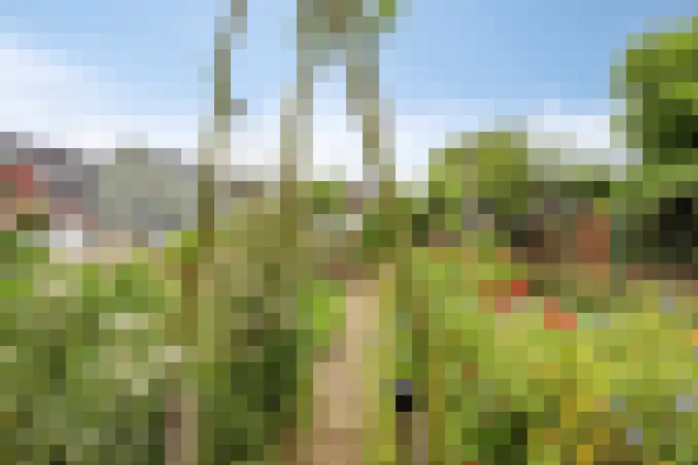 Veenzoom 39 Gouda thumbnail 28