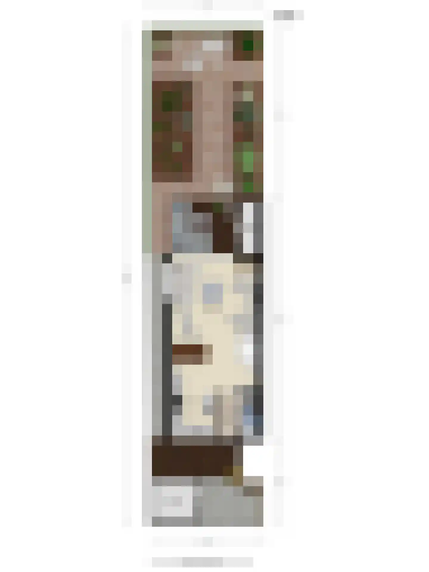 Veenzoom 39 Gouda thumbnail 28