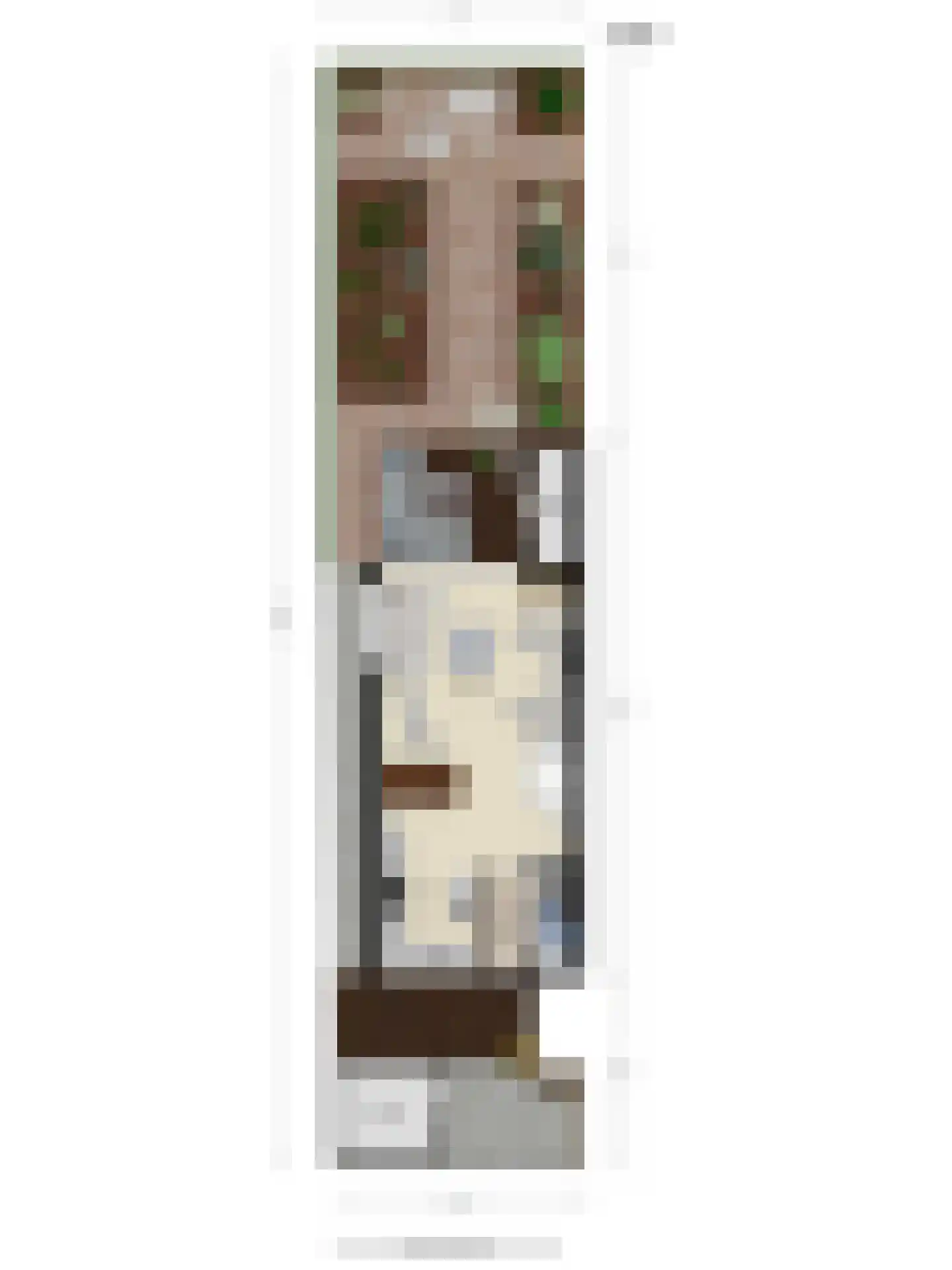 Veenzoom 39 Gouda thumbnail 29