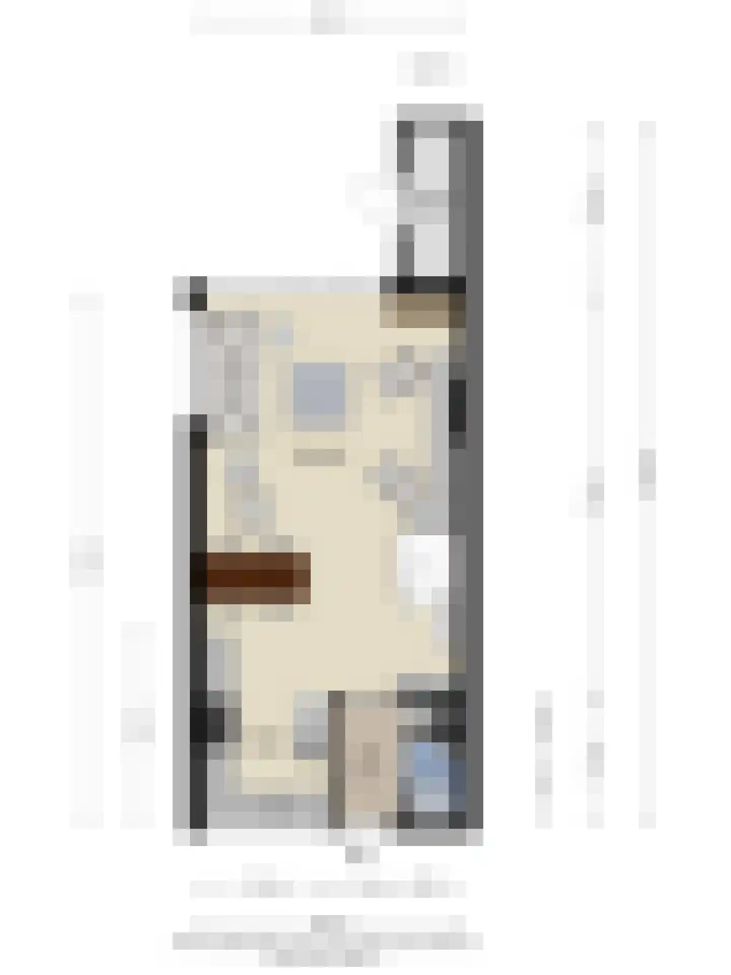 Veenzoom 39 Gouda thumbnail 30