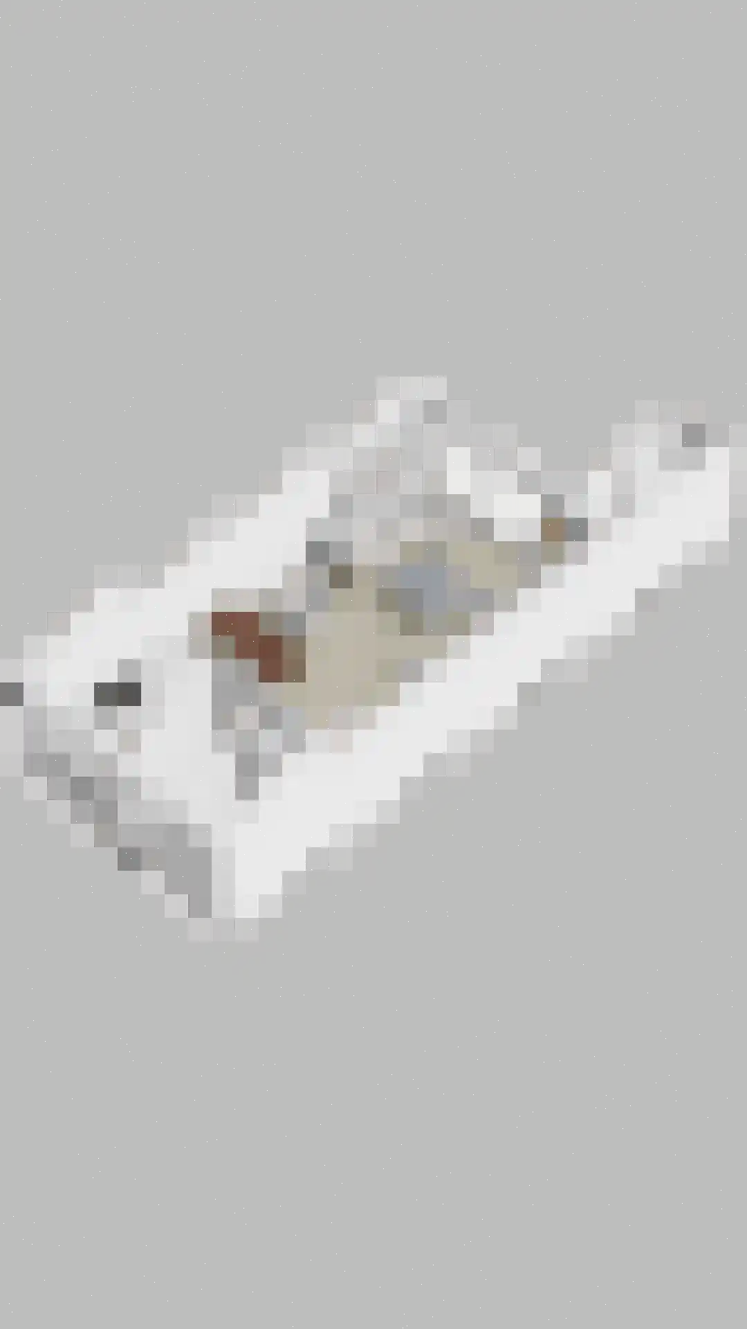 Veenzoom 39 Gouda thumbnail 33