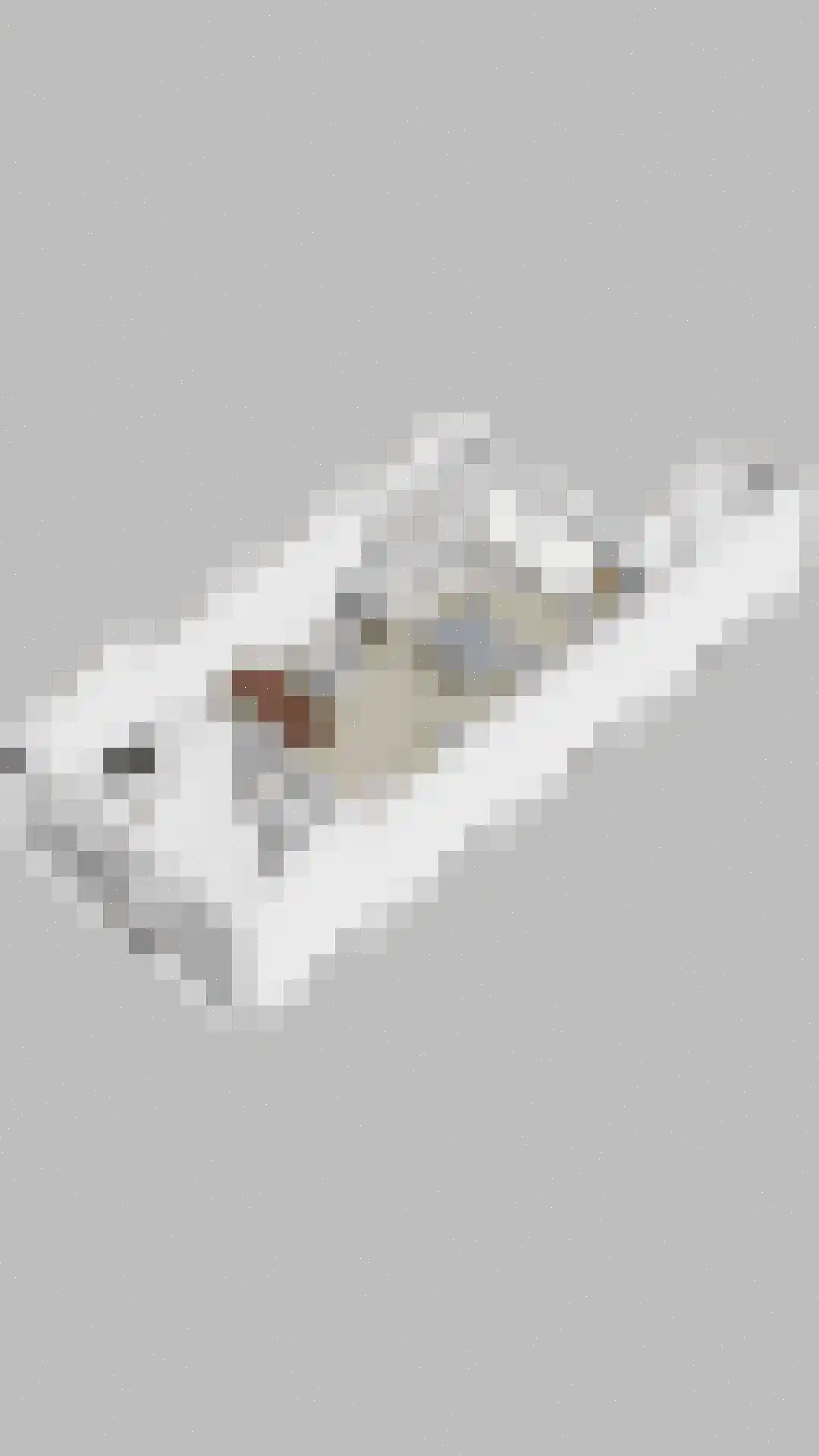 Veenzoom 39 Gouda thumbnail 34