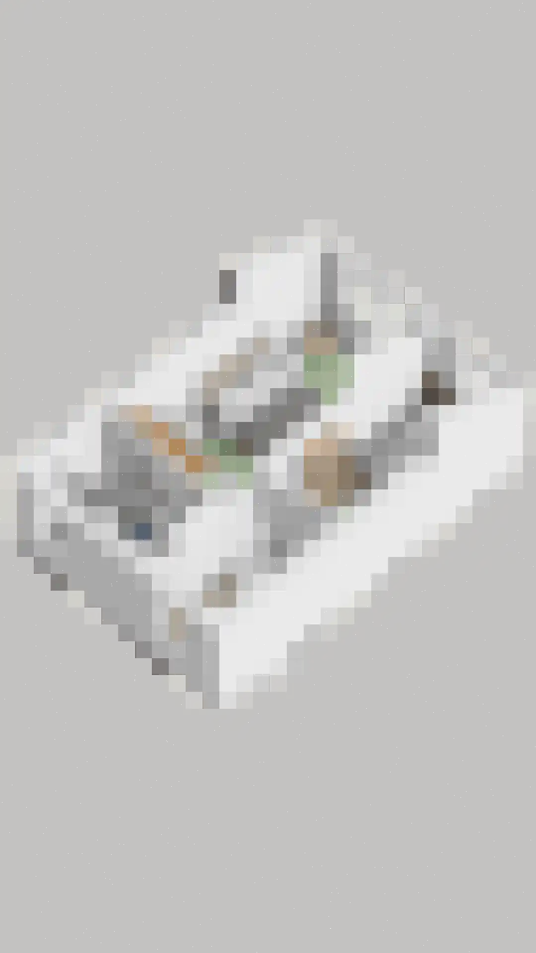 Veenzoom 39 Gouda thumbnail 35