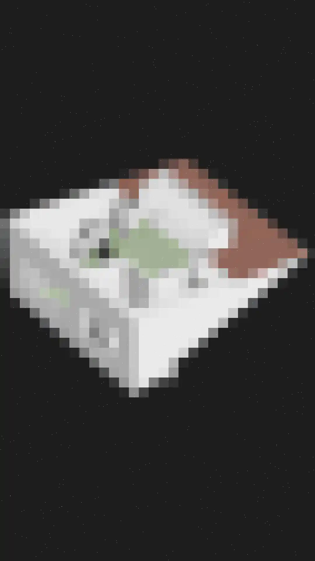 Veenzoom 39 Gouda thumbnail 36