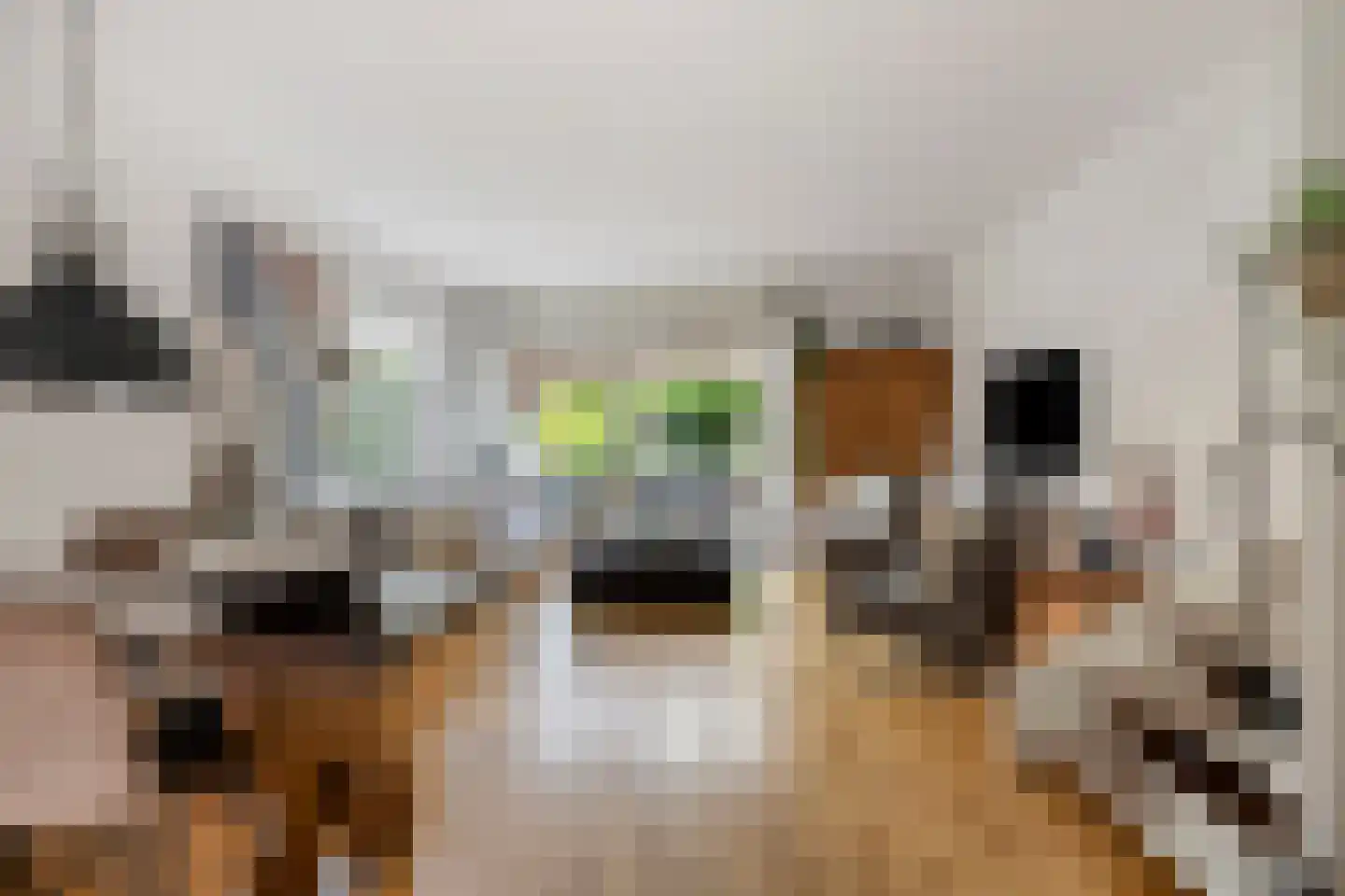 Veenzoom 39 Gouda thumbnail 4