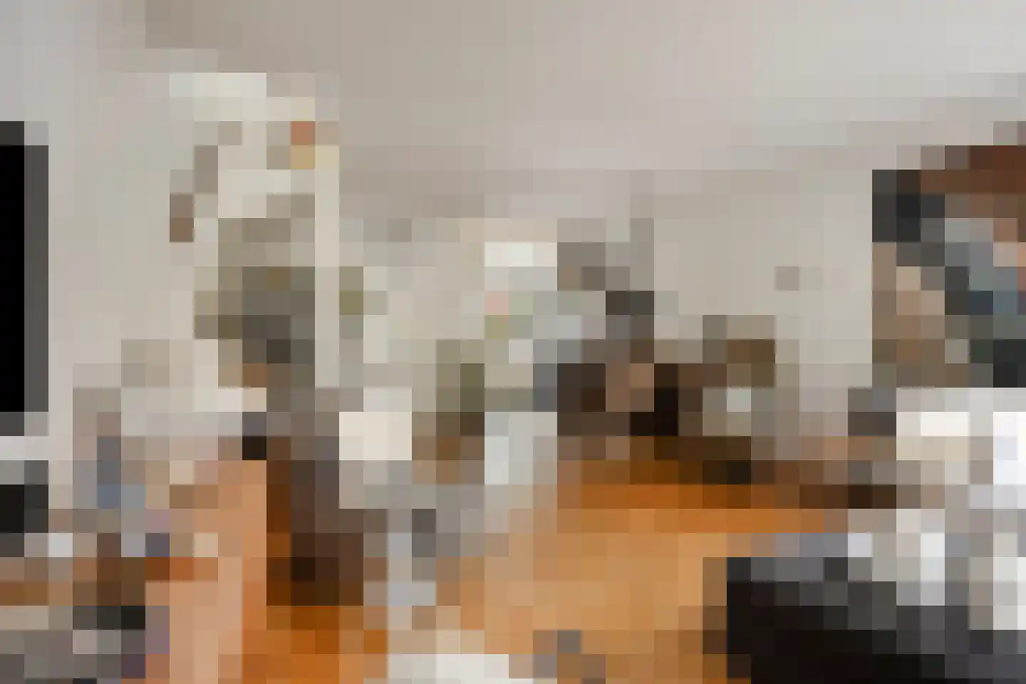 Veenzoom 39 Gouda thumbnail 5