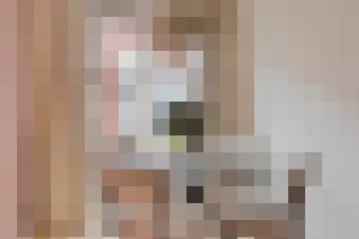 Veenzoom 47 Gouda thumbnail 13