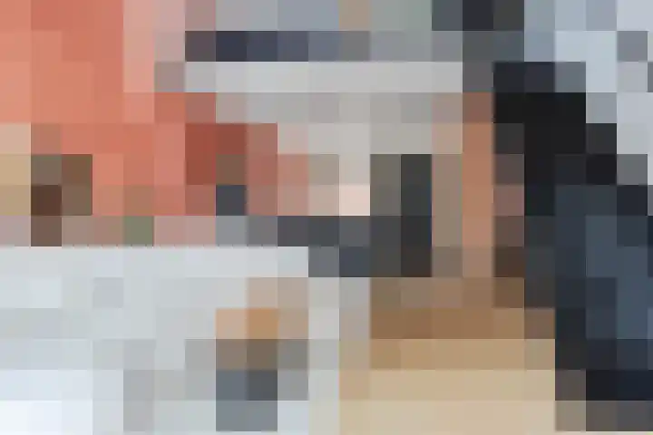 Veenzoom 47 Gouda thumbnail 15
