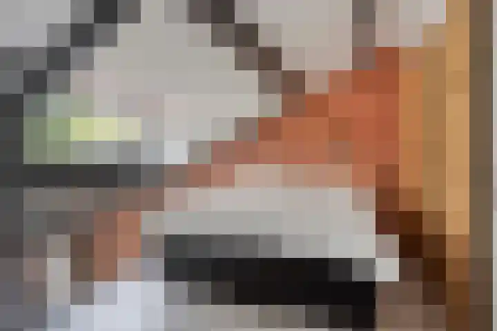 Veenzoom 47 Gouda thumbnail 17