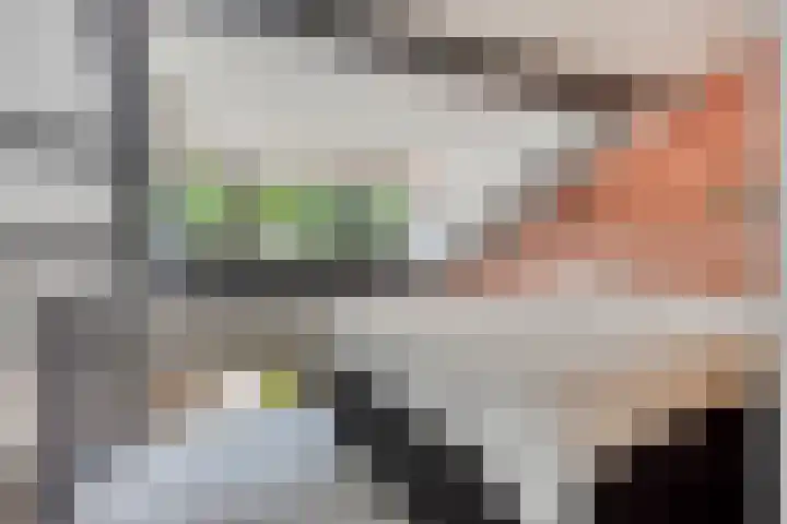 Veenzoom 47 Gouda thumbnail 18
