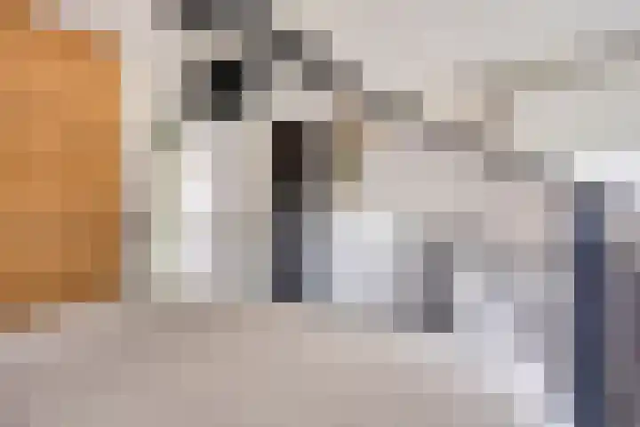 Veenzoom 47 Gouda thumbnail 19