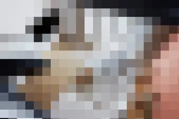 Veenzoom 47 Gouda thumbnail 20
