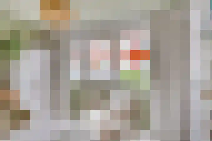 Veenzoom 47 Gouda thumbnail 21