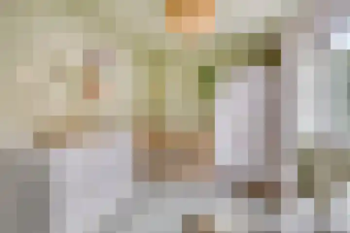 Veenzoom 47 Gouda thumbnail 22