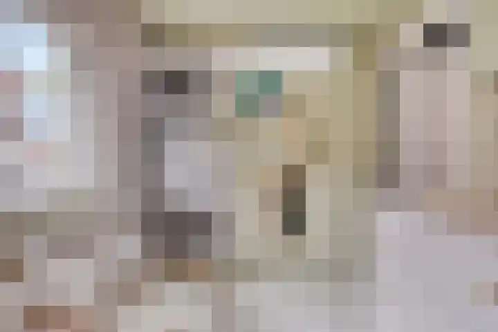 Veenzoom 47 Gouda thumbnail 23