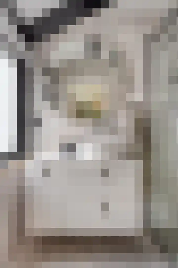 Veenzoom 47 Gouda thumbnail 24