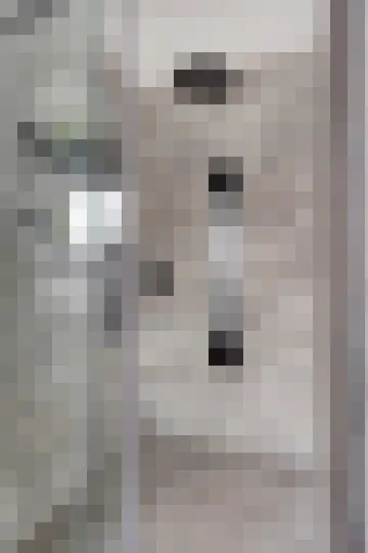 Veenzoom 47 Gouda thumbnail 25