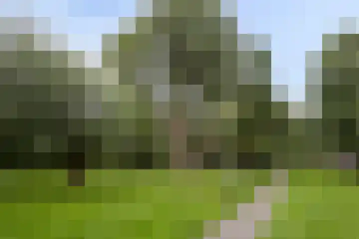 Veenzoom 47 Gouda thumbnail 26