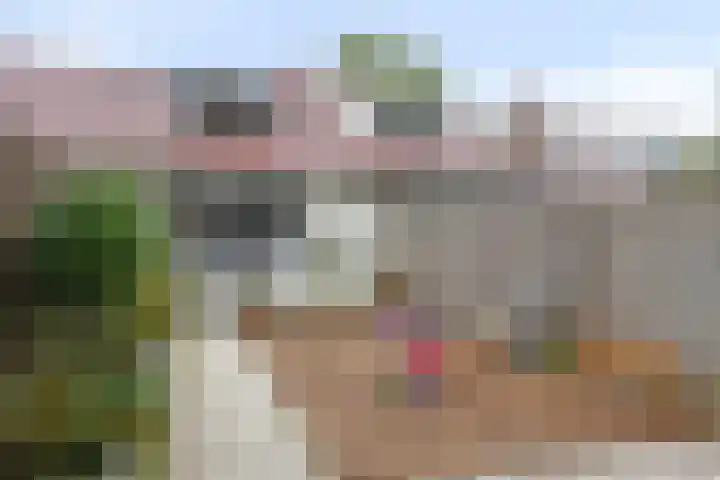 Veenzoom 47 Gouda thumbnail 27