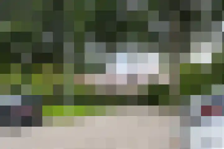 Veenzoom 47 Gouda thumbnail 28