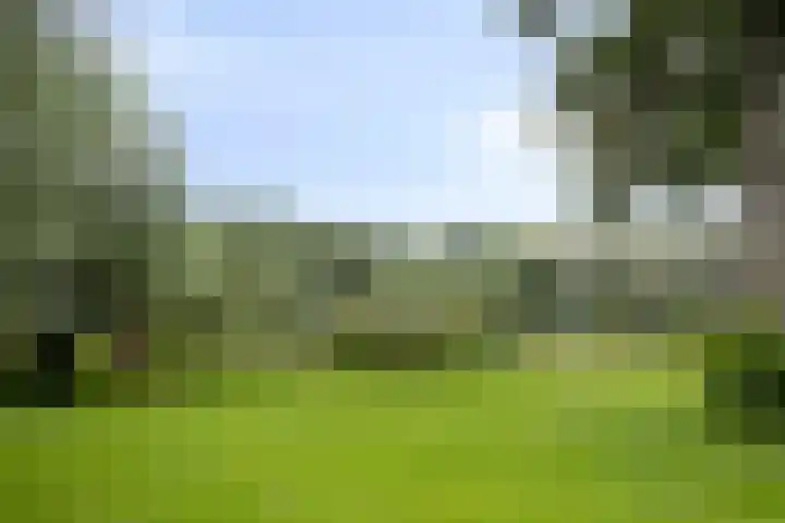 Veenzoom 47 Gouda thumbnail 29