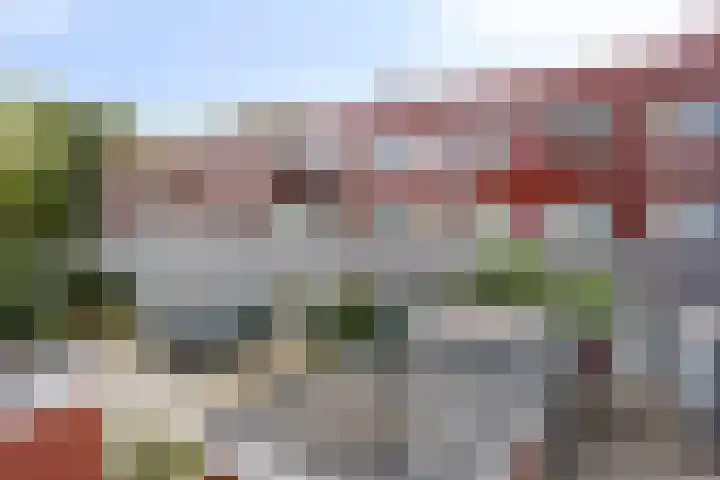 Veenzoom 47 Gouda thumbnail 30