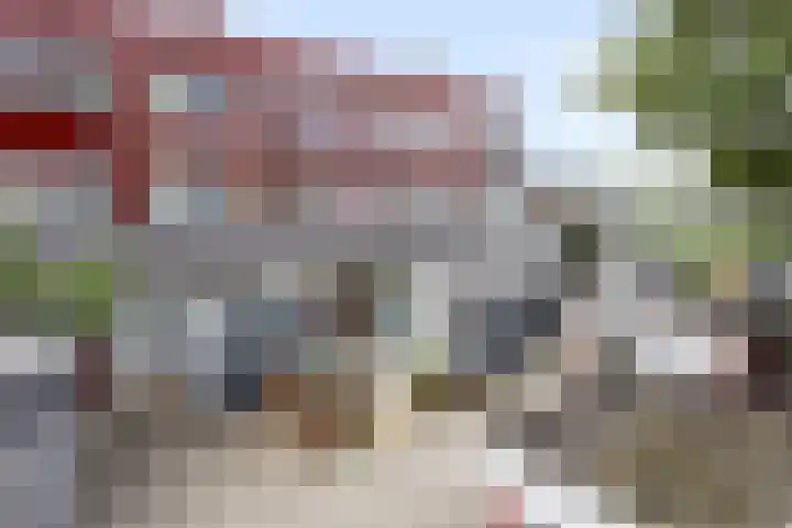 Veenzoom 47 Gouda thumbnail 31
