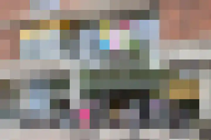 Veenzoom 47 Gouda thumbnail 32