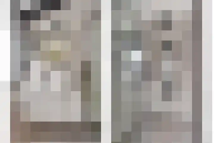 Veenzoom 47 Gouda thumbnail 4