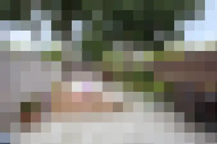 Veenzoom 47 Gouda thumbnail 5