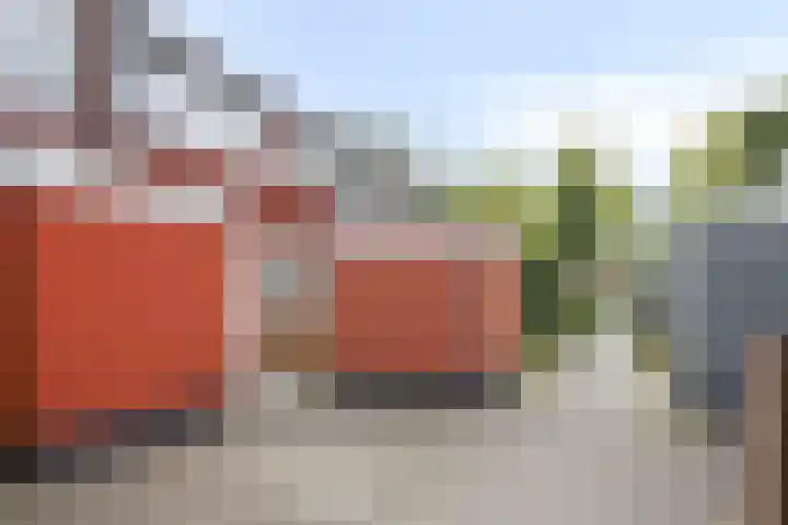 Veenzoom 47 Gouda thumbnail 6