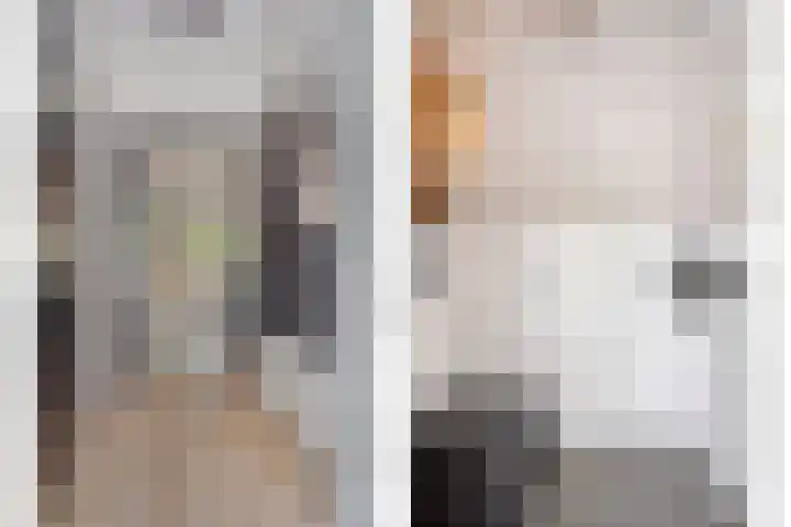 Veenzoom 47 Gouda thumbnail 8