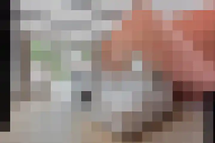 Veenzoom 47 Gouda thumbnail 9